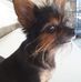 Pieter Prinsloo - Facebook
