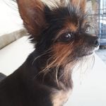 Pieter Prinsloo - @pieter.prinsloo.353 - Instagram