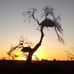 Pieter Prinsloo - Facebook