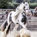 Pieter Prinsloo - Facebook