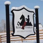 Pieter Gerhardt Roos - @rosestables1982 - Instagram
