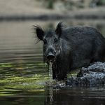 Pieter Roos - @pieter_r_photography - Instagram
