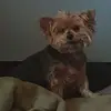 Pieter Roos - @pieter.roos8 - TikTok