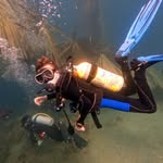 Pieter Roos - @pieter_r00s - Instagram