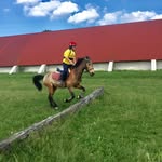 pietro amore - @pietro3962 - Instagram