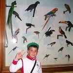 Pietro Celeste - @pietro.celeste.77 - Instagram