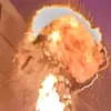 Pietro Celeste - @pietro.celeste3 - TikTok
