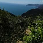 pietro.failla - @pietro.failla4 - Instagram