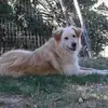 Gianni Pietro - @gianni.pietro - TikTok