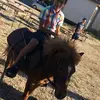 Pietro Grasso - @grassopietro - TikTok