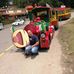 Pietro Greco - Facebook