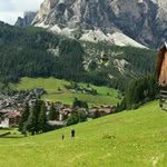 Pietro Leone - @pete.lion - Instagram
