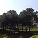 Pietro Monetti - @pietro.monetti - Instagram