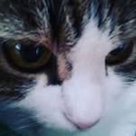 Pietro Ramella - @ramella.pietro - Instagram