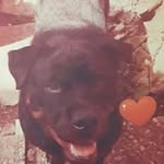 Pietro De Serio - @pietrodeserio - Instagram