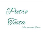 Pietro Testa - @_pietrotesta - Instagram