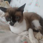 Pietro Vitale - @pietro.vitale.1656 - Instagram