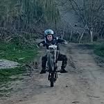 Pietro Vitale - @pietrovitale316 - Instagram