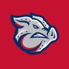 IronPigs - @ironpigs - TikTok
