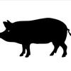 Pig Iron Forge - @andrewtrimarco - TikTok