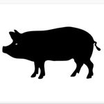 Pig Iron Forge - @pig_iron_forge - Instagram
