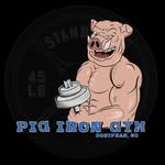 Pig Iron Gym, LLC - @pigirongymllc - Instagram