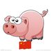 Pig Man - Facebook
