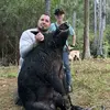 pigman - @anthonygrimes73 - TikTok