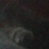 pigman - @finn123.4 - TikTok
