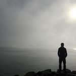Jesse Novak - @pigmeat_markham - Instagram