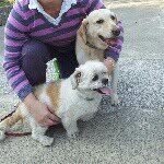 Pik Cheung Wan - @wpcjudy - Instagram