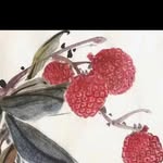 Pik Ching Cheung - @pikchingcheung - Instagram