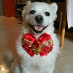 Pik Ling Cheung - @ling_p_c - Instagram
