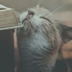 pikcheung - @pik_cheung - Instagram