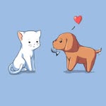 pikcheung - @pikcheung2410 - Instagram