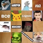 Пикчи На Все Случаи - @pikchi_nvs - Instagram