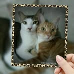 Pik Kwan - Facebook