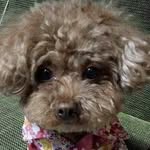 Pik Kwan Chu - @goodgoodjjkwan - Instagram