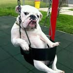 Pikbig Tse - @pikbigtse - Instagram