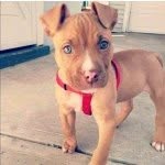 Pike - @pike_lee_ - Instagram