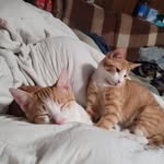 Ruthi Pike Lee - @lee.ruthi - Instagram