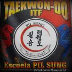 𝐸𝑆𝐶𝑈𝐸𝐿𝐴 𝑃𝐼𝐿 𝑆𝑈𝑁𝐺 - @pilsung_tkd - Instagram