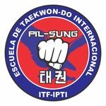 PIL-SUNG TAEKWONDO - @taekwondopilsung - Instagram
