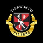 Pil Sung Taekwondo Central🥋 - @pilsungcentral - Instagram