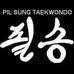 Pil Sung Taekwondo Karner Plaza - Facebook