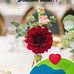 Pilar Aleman - Facebook