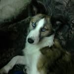 Luna Preciosa - @pilar_angulo_ - Instagram