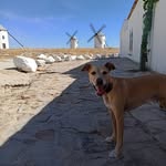 Pilar Angulo - @pilaranguloparreno - Instagram