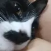 @pilarayala - @pilar.ayala.mi - TikTok
