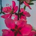 Muhammed Ameen Bellar - Facebook